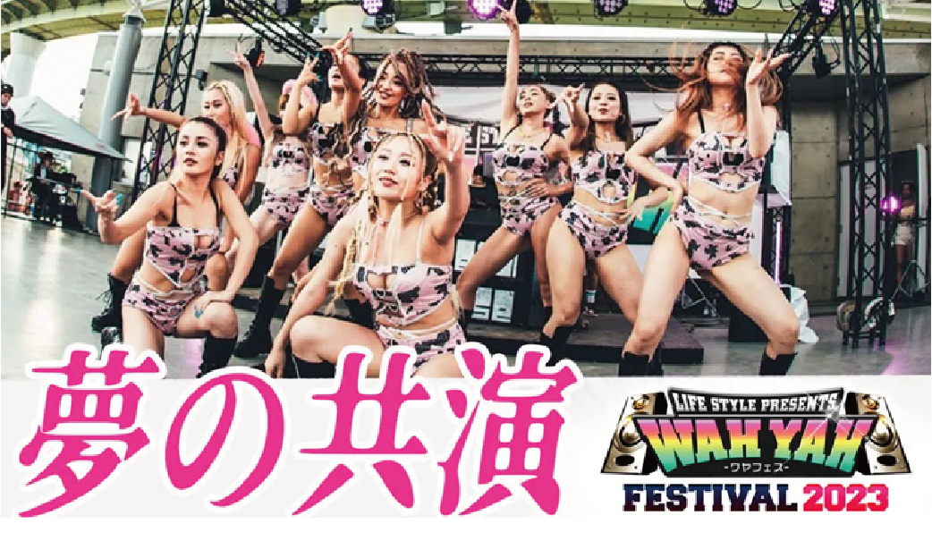 ダンサースライダー画像